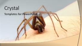  Presentation with defending - Audience pleasing slides consisting of defending-spider-on-skin backdrop and a light gray colored foreground
