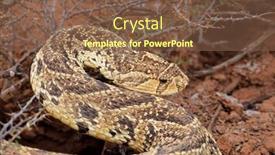  Presentation with military defensive tactics - Presentation enhanced with defensive-puff-adder-bitis-arietans background and a tawny brown colored foreground