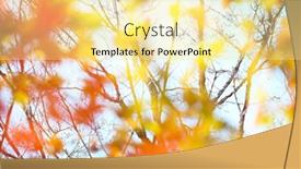  Presentation with maple leaves - 