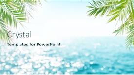  Presentation with palm leaves - PPT theme enhanced with defocused-blue-sea-landscape-background background and a cool aqua colored foreground