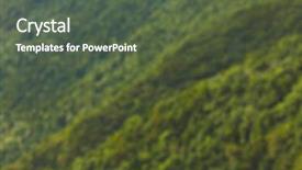  Presentation with green foliage - Slides with defocused bokeh of green foliage background and a dark gray colored foreground