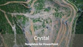  Presentation with palm oil - PPT layouts enhanced with rainforest logging for oil background and a gray colored foreground