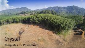  Presentation with destruction - Amazing theme having deforestation aerial drone photos of logging environmental destruction of rainforest in thailand forest land cleared for oil palm plantations backdrop and a coral colored foreground