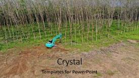  Presentation with forestry - Audience pleasing PPT layouts consisting of deforestation aerial photo of forestry backdrop and a coral colored foreground
