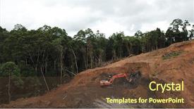  Presentation with palm oil - Colorful slide set enhanced with photo rainforest jungle in borneo backdrop and a tawny brown colored foreground