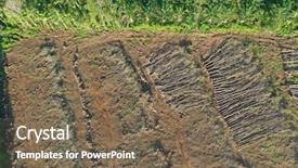  Presentation with palm oil - Presentation theme featuring deforestation and palm oil plantations background and a violet colored foreground