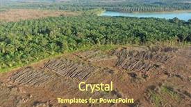 Presentation with palm oil - Presentation design enhanced with deforestation and palm oil plantations background and a tawny brown colored foreground