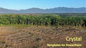  Presentation with oil palm plantation - Amazing presentation theme having deforestation and palm oil plantations backdrop and a tawny brown colored foreground