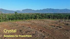  Presentation with plantation palm oil - Presentation consisting of deforestation and palm oil plantations background and a tawny brown colored foreground