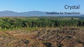  Presentation with palm oil - Colorful presentation enhanced with deforestation and palm oil plantations backdrop and a  colored foreground