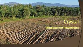  Presentation with plantation palm oil - Presentation design having deforestation and palm oil plantations background and a tawny brown colored foreground