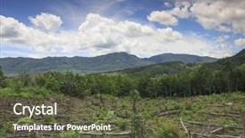  Presentation with human development - Slides with deforestation borneo tropical rainforest is background and a tawny brown colored foreground