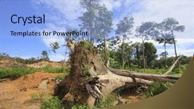  Presentation with destruction - Slide deck with deforestation environmental destruction of rainforest background and a light blue colored foreground