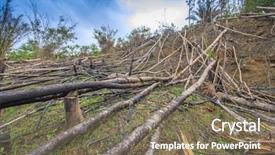  Presentation with human development - Cool new presentation design with deforestation environmental problem as rain backdrop and a violet colored foreground