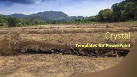  Presentation with palm oil - Audience pleasing slide set consisting of rain forest destroyed for oil backdrop and a tawny brown colored foreground