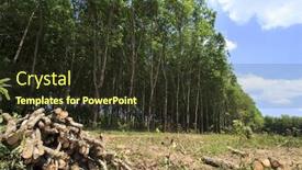  Presentation with deforestation - Beautiful theme featuring deforestation environmental problem rain forest destroyed for oil palm plantations backdrop and a tawny brown colored foreground