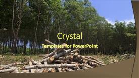  Presentation with deforestation - Colorful slide deck enhanced with deforestation environmental problem rain forest destroyed for oil palm plantations backdrop and a tawny brown colored foreground