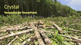  Presentation with deforestation - Amazing slide deck having deforestation environmental problem rain forest destroyed for oil palm plantations backdrop and a tawny brown colored foreground