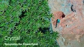  Presentation with palm oil - PPT theme enhanced with deforestation-in-malaysia-for-oil background and a forest green colored foreground