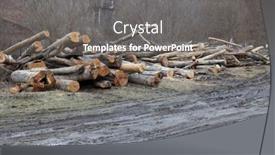  Presentation with deforestation - Slides enhanced with deforestation-in-rural-areas-timber background and a gray colored foreground