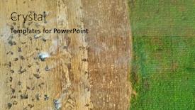  Presentation with palm oil - Amazing presentation theme having deforestation-land-clearing-and-burning backdrop and a coral colored foreground