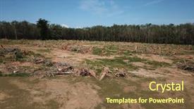  Presentation with deforestation - Cool new slide set with deforestation logging environmental damage backdrop and a tawny brown colored foreground