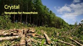  Presentation with destruction - Cool new slide deck with deforestation logging environmental destruction backdrop and a wine colored foreground