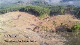  Presentation with palm oil industry - Amazing presentation theme having destroyed for palm oil industry backdrop and a coral colored foreground