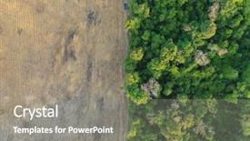  Presentation with deforestation - Slides featuring deforestation logging environmental problem background and a gray colored foreground