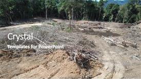 Presentation with deforestation - Colorful slide deck enhanced with deforestation logging of borneo rainforest backdrop and a gray colored foreground
