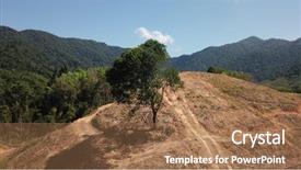  Presentation with oil palm plantation - PPT layouts with deforestation logging of forest environmental background and a coral colored foreground