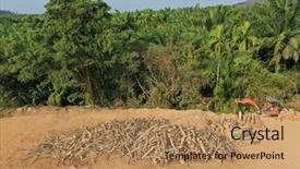  Presentation with deforestation - Cool new PPT layouts with globe road - deforestation logging of forest backdrop and a coral colored foreground