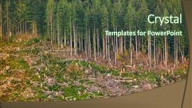  Presentation with deforestation - Presentation theme featuring deforestation of alaska forest nature background and a tawny brown colored foreground