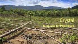  Presentation with palm oil - PPT theme featuring deforestation rainforest destroyed and oil palm trees planted background and a tawny brown colored foreground