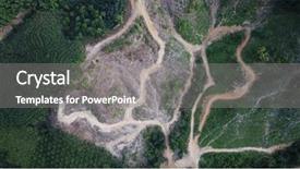  Presentation with palm oil - Amazing presentation theme having oil palm plantations borneo backdrop and a gray colored foreground