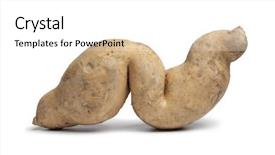  Presentation with sweet potato - Colorful slides enhanced with deformed - sweet potato in a special backdrop and a white colored foreground