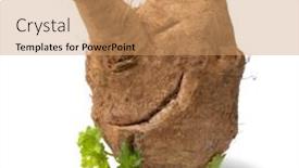  Presentation with moroccan - PPT theme consisting of deformed-moroccan-rutabaga-vegetable background and a coral colored foreground