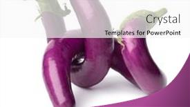  Presentation with dogwood and purple - Presentation with deformed-twisted-japanese-purple-eggplants and a white colored foreground