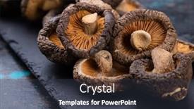  Presentation with asian food - Slide set having dehydrated-shiitake-mushrooms-asian-food background and a dark gray colored foreground