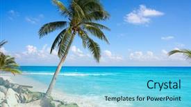  Presentation with palm beach - Cool new slide deck with del carmen beach palm trees backdrop and a light blue colored foreground