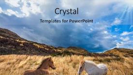  Presentation with chile patagonia - Amazing theme having del paine national park - biosphere backdrop and a  colored foreground