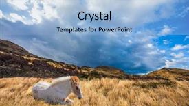  Presentation with chile patagonia - PPT theme having del paine national park - biosphere background and a light blue colored foreground