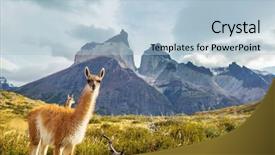  Presentation with beautiful landscapes - Beautiful slide deck featuring del paine national park chile backdrop and a light blue colored foreground