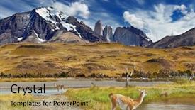  Presentation with chile patagonia - Theme with del paine national park patagonia background and a gold colored foreground
