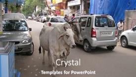  Presentation with vehicles - Presentation theme with delhi-india-july-18-holy background and a gray colored foreground