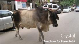  Presentation with vehicles - Presentation having delhi-india-july-18-holy background and a gray colored foreground