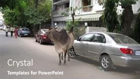  Presentation with vehicles - 