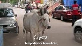  Presentation with vehicles - 