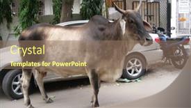  Presentation with vehicles - 