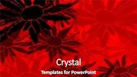  Presentation with red floral - Slides enhanced with delicate abstract floral background with stylized black daisy flowers on red background and a crimson colored foreground
